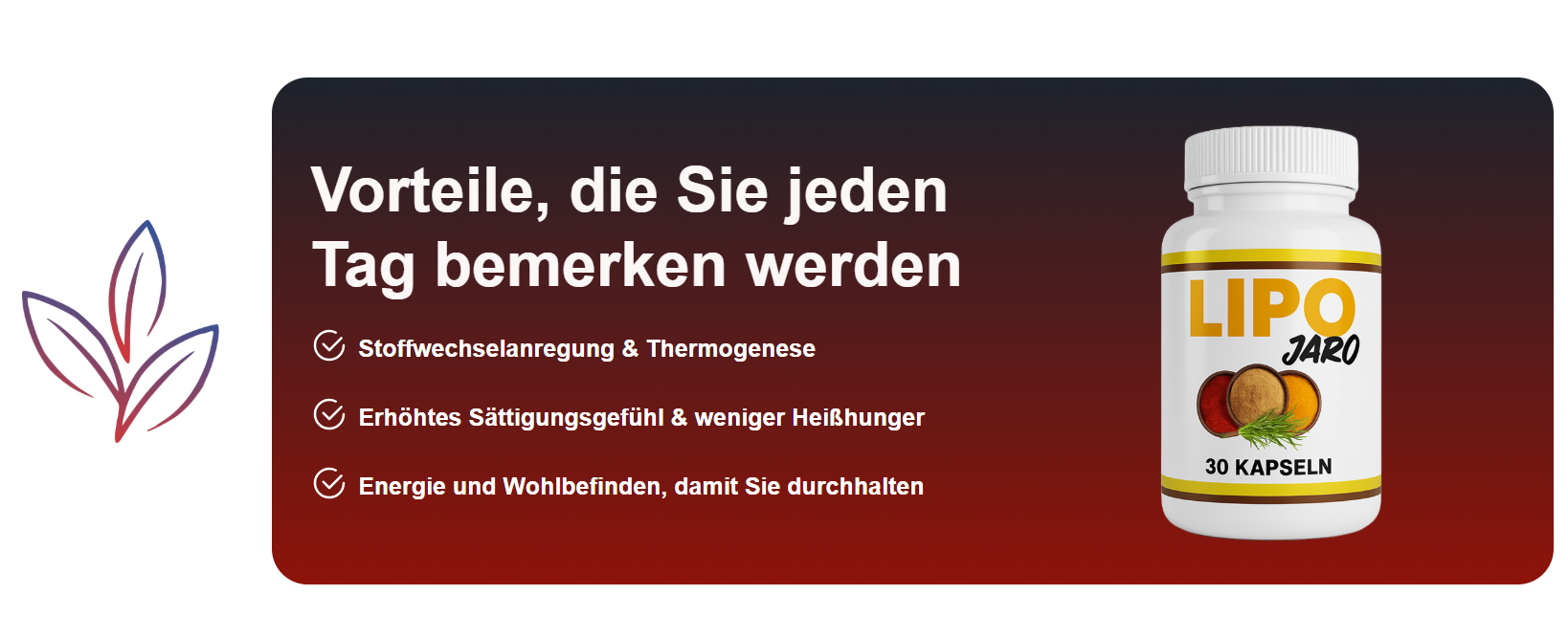 Grafische Darstellung der vorgesehenen Vorteile von LipoJaro